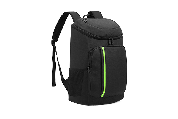 Cooler bag